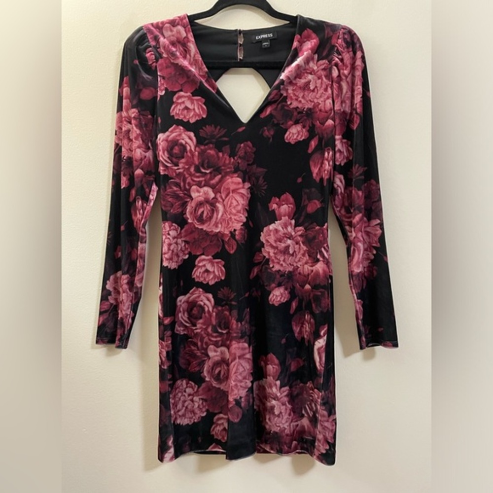 Express Rose‎ Velvety Open Back Dress - S